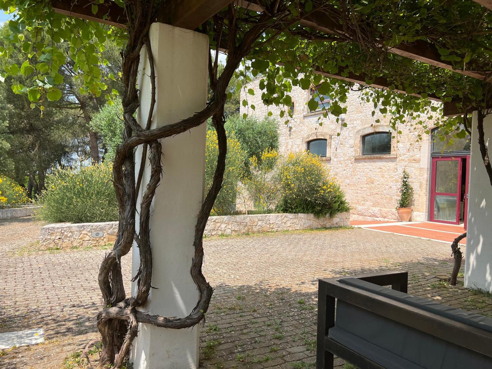 Apulia Victor Country 4*