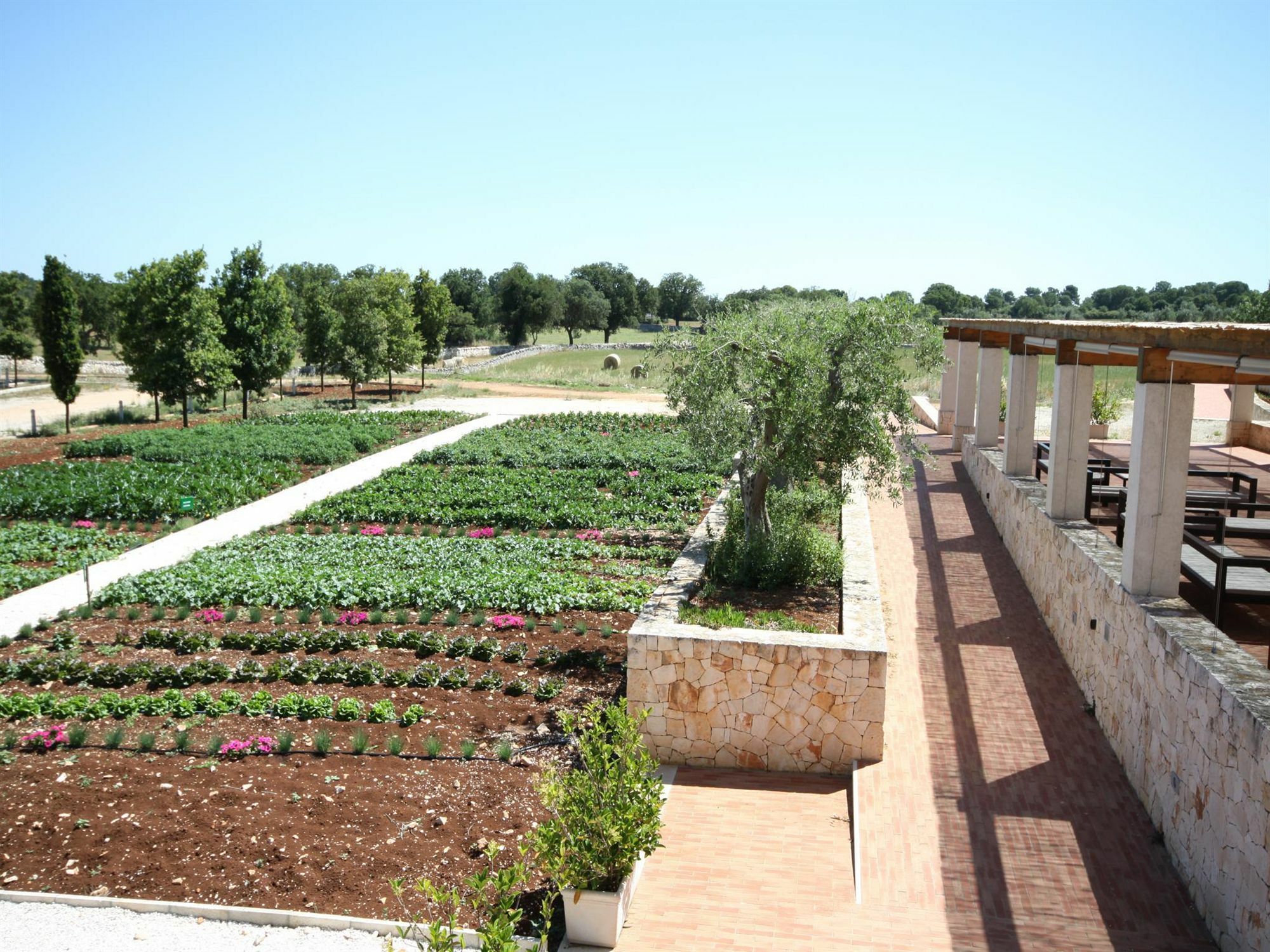 Resort Apulia Victor Country Alberobello